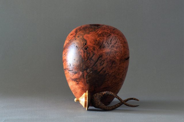 Jarrah Burr with a Twist